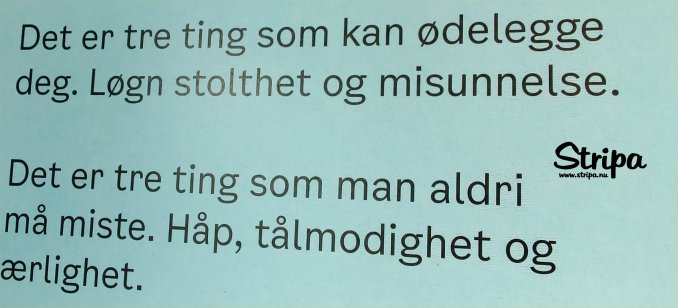 Bare så synd at ungdom er hyklere og ordene er verdiløse. Foto: FatZilla.
