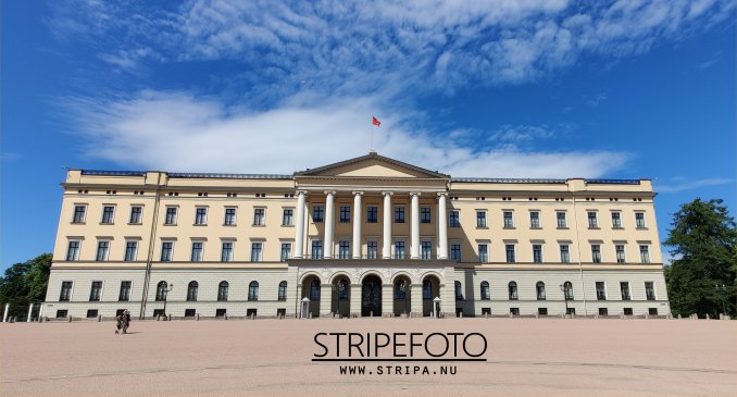 Det Kongelige Norske Slott. Foto: FatZilla.